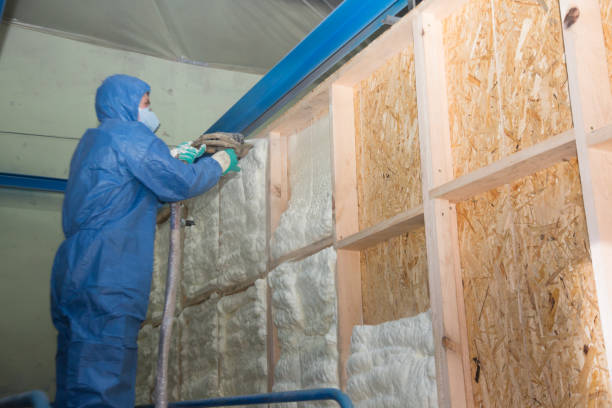 Best Insulation Repair Services  in Malakoff, TX