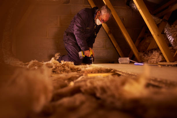 Best Blown-in Insulation  in Malakoff, TX